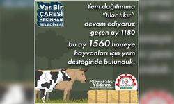 Hekimhan Belediye'sinden Kıskandıran Proje