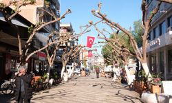 Aydın Büyükşehir Belediyesi, çevre düzenleme çalışmaları kapsamında faaliyetlerini sürdürüyor