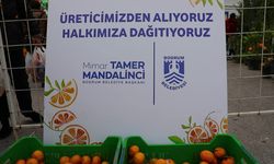 Bodrum Mandalin Festivali'ne yoğun ilgi