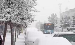 Erzurum'da kar yağışı yaşamı olumsuz etkiliyor