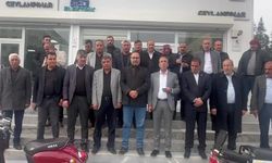 Şanlıurfa’nın Ceylanpınar İlçesinde yaşanan elektrik kesintilerine mahalle muhtarlarından tepki