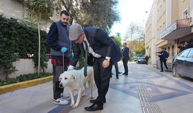 Bornova Belediye Başkanı Eşki, barınakta tutulan Paşa isimli sokak köpeğini sahiplendi