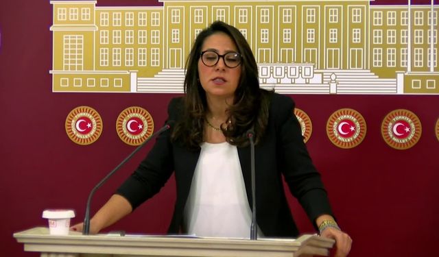 Sera Kadıgil: "Bütün özel hastanelerin kamulaştırılmasını ve Sağlık Bakanlığı'na devredilmesini teklif etti