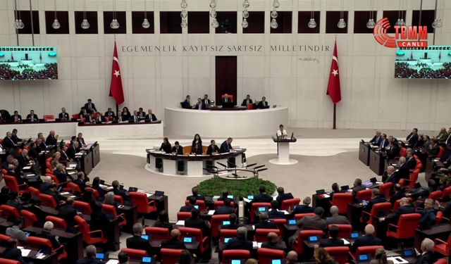 Gülüstan Kılıç Koçyiğit: "IŞİD adına katliam yapanlar tahliye edildiler. Tuzun koktuğu bir eşikteyiz"