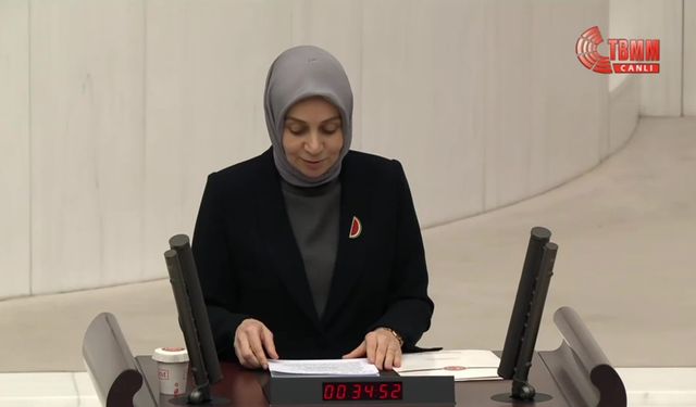 TBMM Genel Kurulu... Leyla Şahin Usta: "Kürt vatandaşlarımızın araçsallaştırılmasına izin vermeyeceğiz, artık birilerinin de yeni şeyler söylemesi gerekiyor"