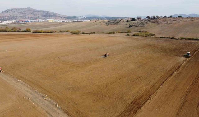 Adana’da buğday taneleri toprakla buluştu