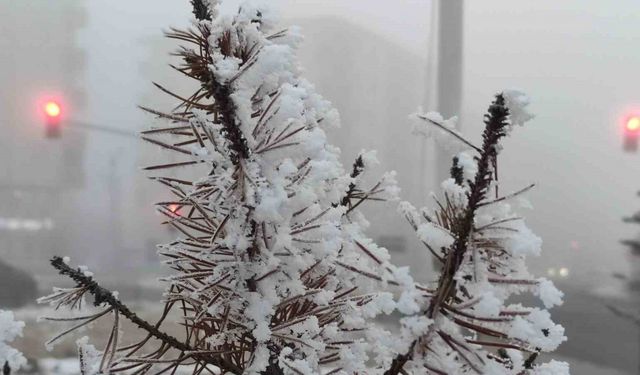 Ardahan’da soğuk hava ve sis hayatı olumsuz etkiliyor