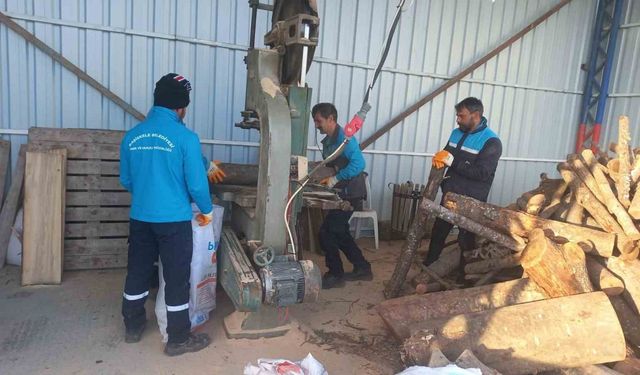 Budanan ağaçlar, dar gelirli ailelere yakacak oluyor