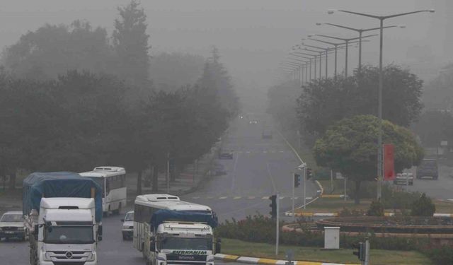 Erzincan güne sisle uyandı