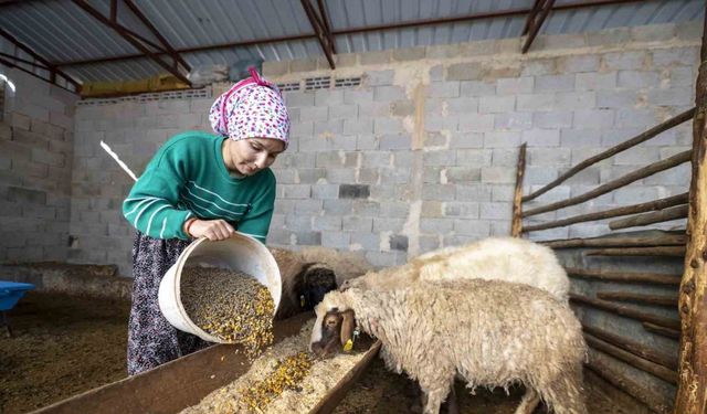 ’Hadi Gel Köyümüze Geri Dönelim’ projesi bir genci deha üretime kazandırdı