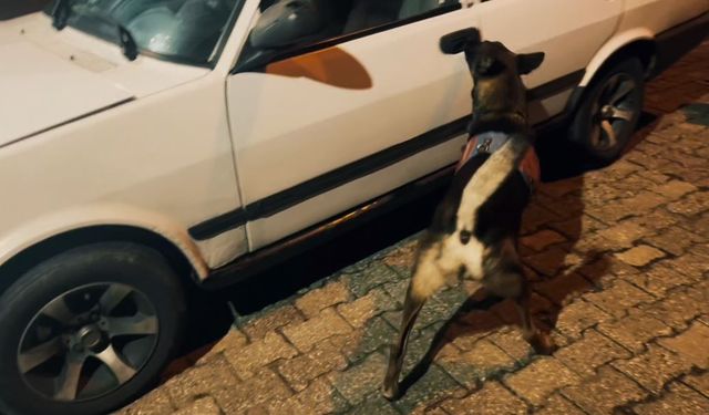 Kapıya gizlenen uyuşturucu narkotik köpeğinden kaçmadı