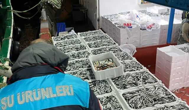 Kırklareli’nde balıkçılara kota denetlemesi