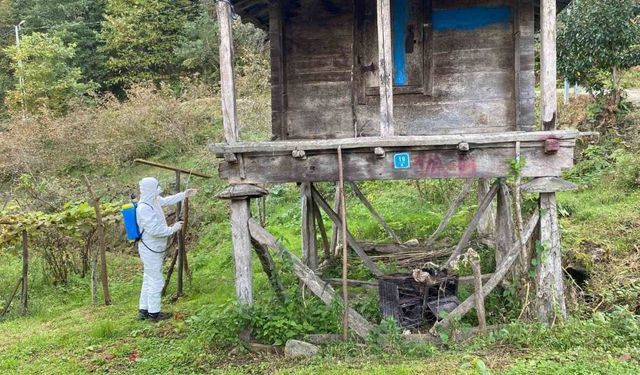 Trabzon’da kokarcayla mücadelede 1 milyon 312 bin metrekarelik alan ilaçlandı