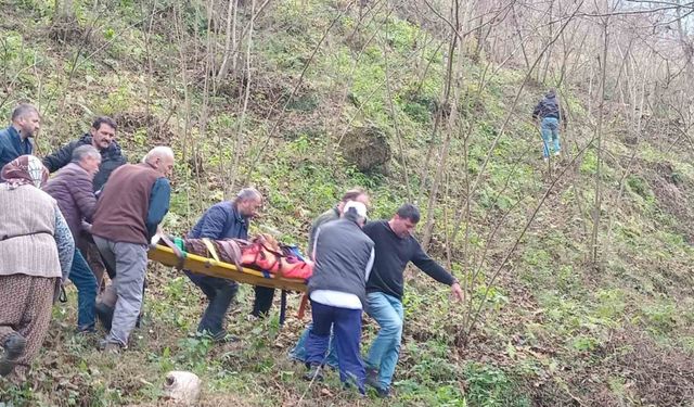 Trabzon’da otomobil dereye uçtu: 2 yaralı