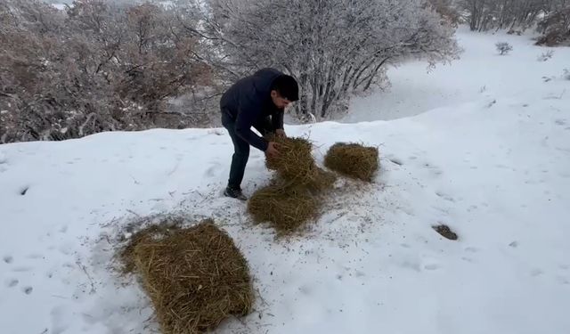 Yaban hayvanları için doğaya yem bırakıldı