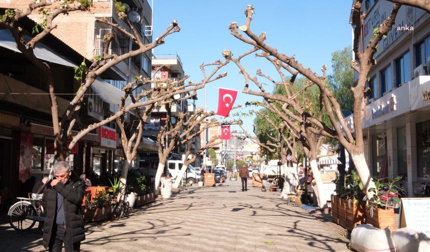 Aydın Büyükşehir Belediyesi, çevre düzenleme çalışmaları kapsamında faaliyetlerini sürdürüyor