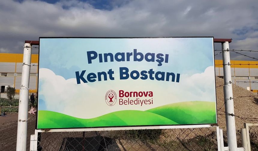 Bornova Belediyesi Kent Bostanı projesinin ilk hasadı gerçekleşti