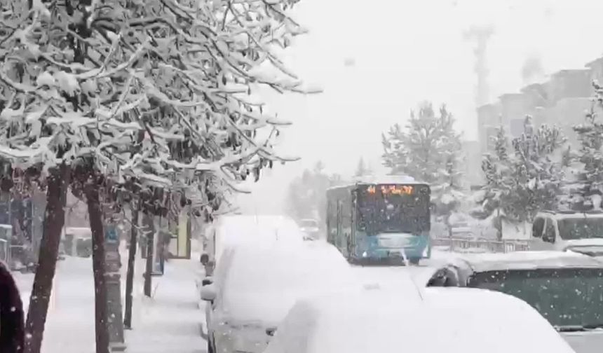 Erzurum'da kar yağışı yaşamı olumsuz etkiliyor