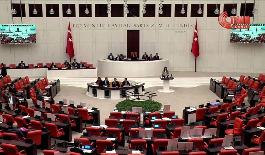 MHP'li Pelin Yılık'tan Asgari refah düzeyinin altında gelir elde eden ailelere doğrudan gelir desteği önerisi