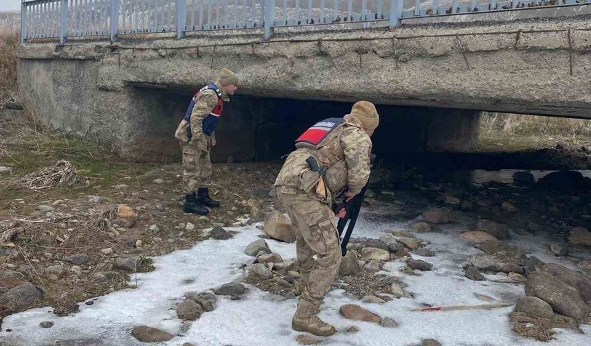 Ağrı’da "Türkiye Duman Uygulaması" kapsamında denetim: 4 bin 375 kişi ve 790 araç sorgulandı