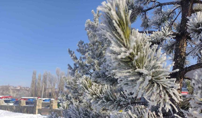 Ardahan’da Sibirya soğukları