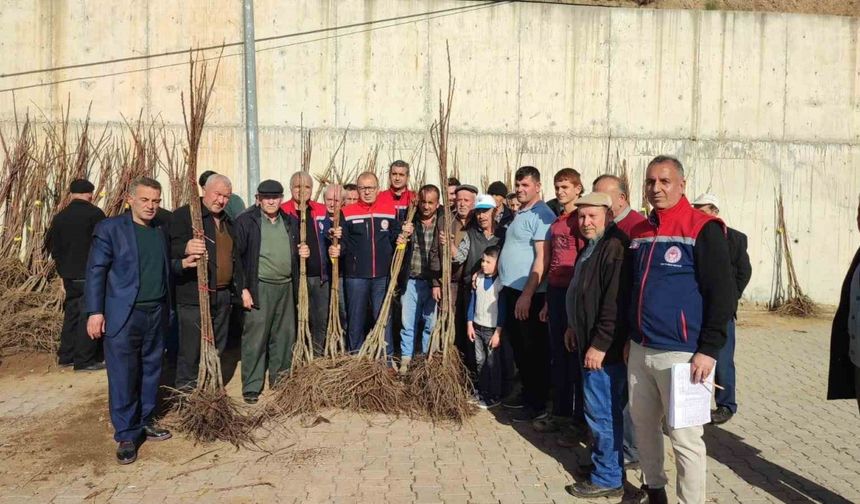 Aydın’da tarımsal üretime destek