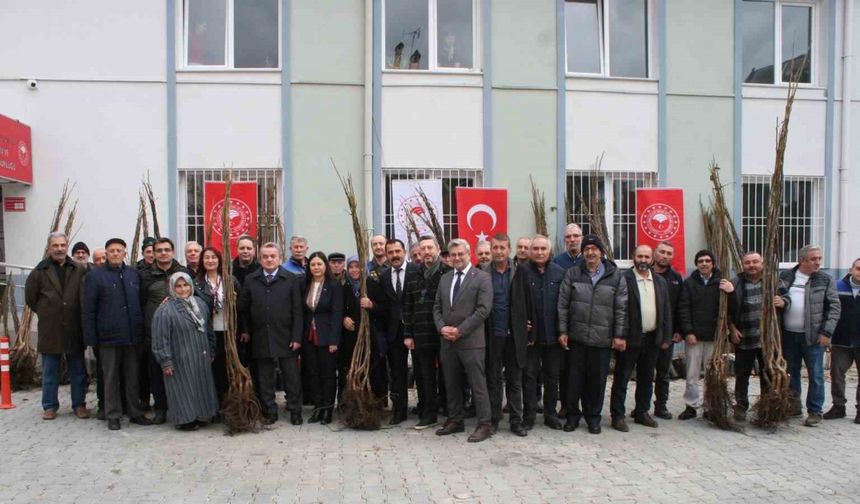 Bozüyük’te çiftçilere meyve fidanı dağıtıldı